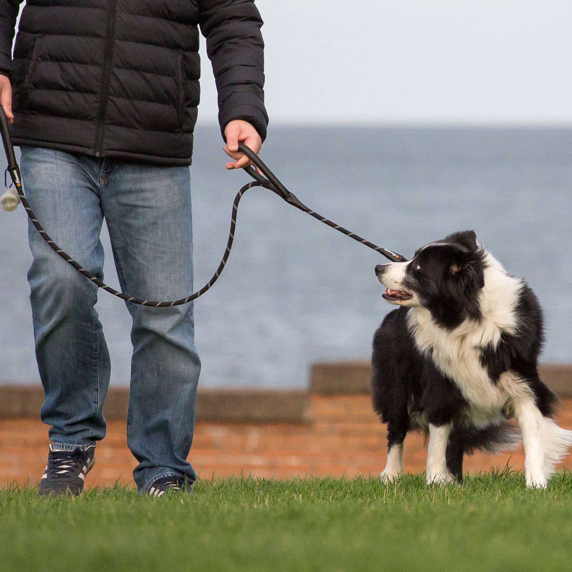 Black Rope Lead - Sweetie