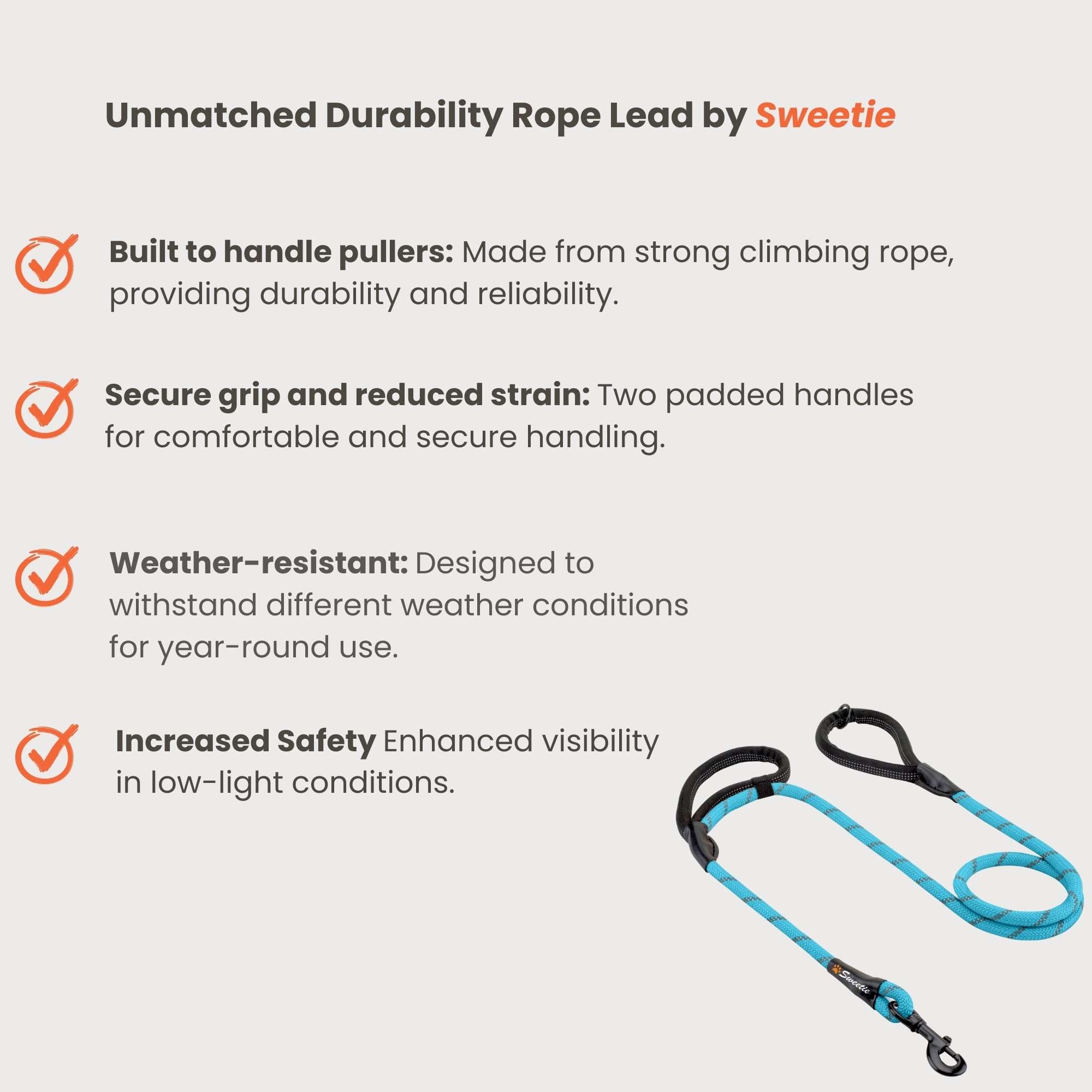 Blue Rope Lead - Sweetie