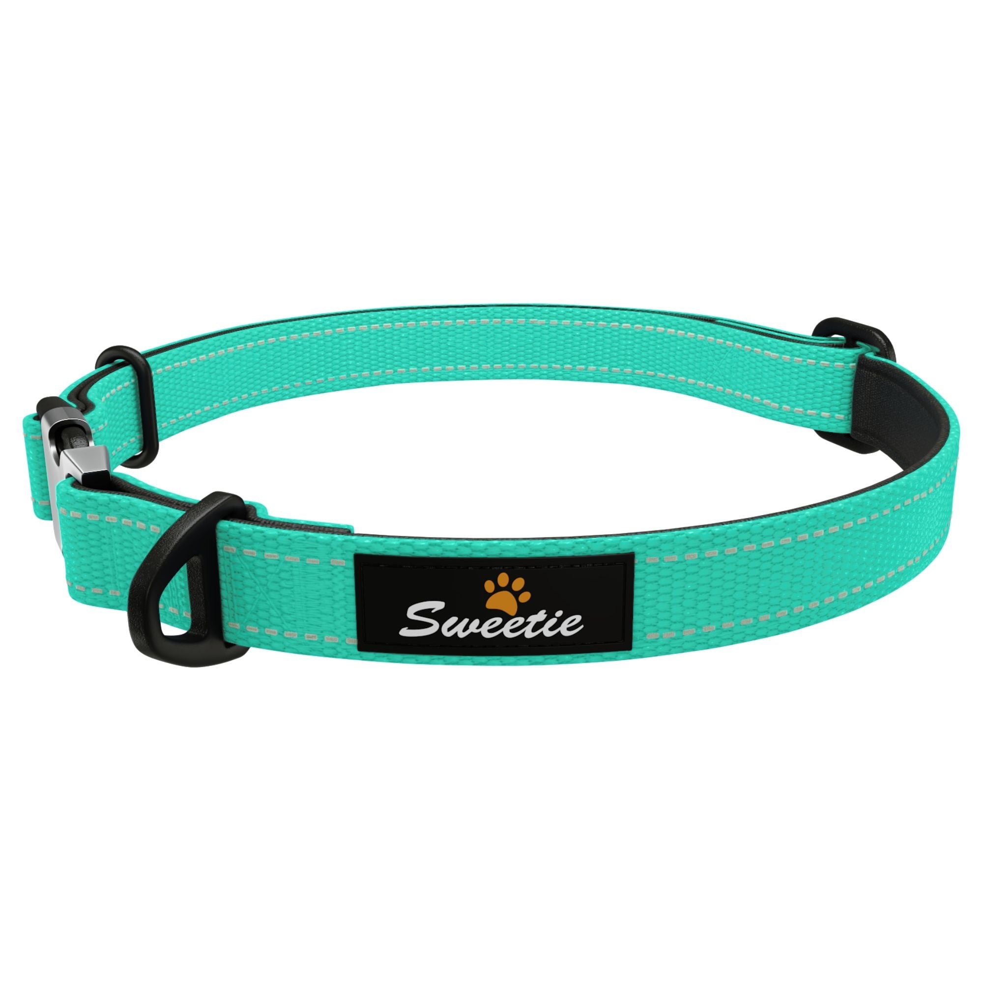 Dreamy Aqua Padded Collar - Sweetie