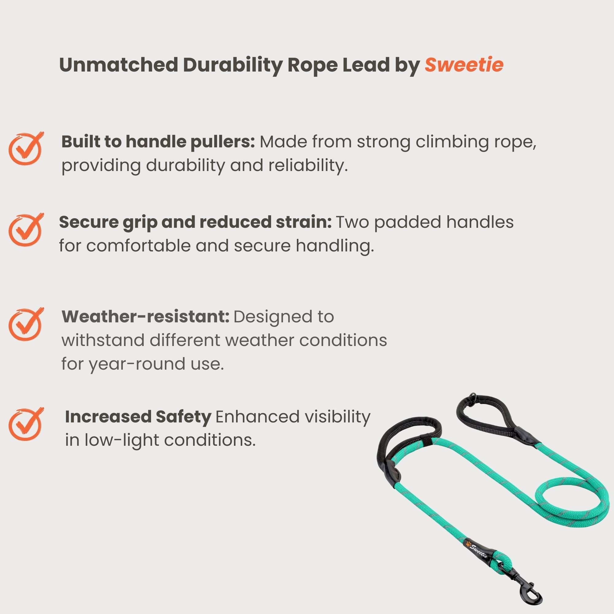 Dreamy Aqua Rope Lead - Sweetie