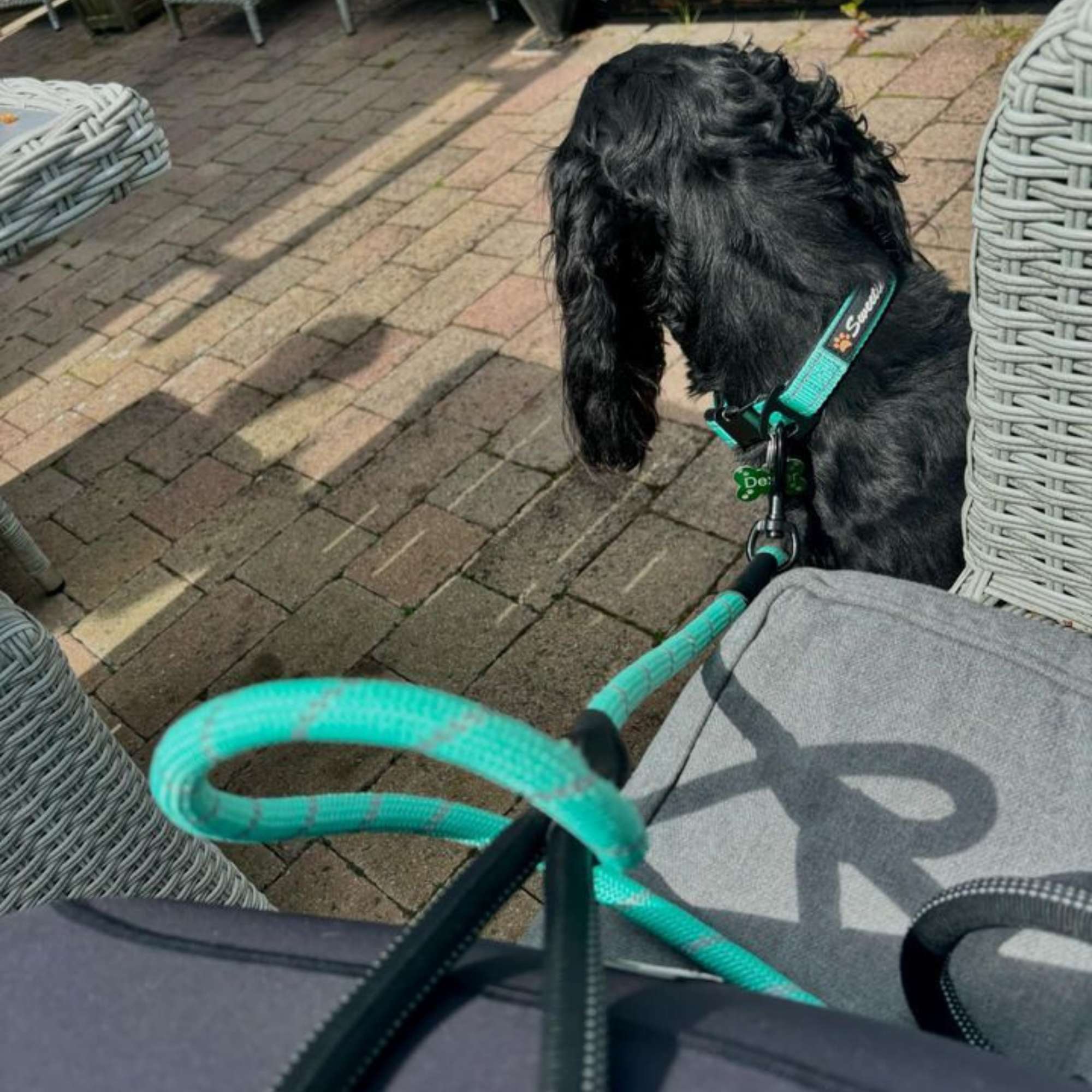 Dreamy Aqua Rope Lead - Sweetie