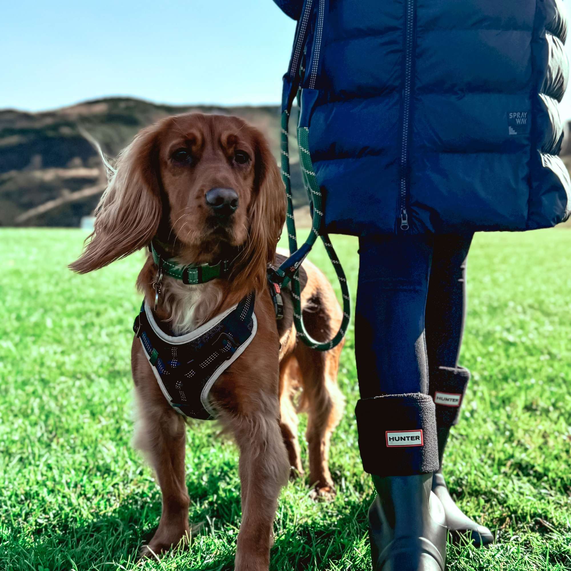 Green Rope Lead - Sweetie