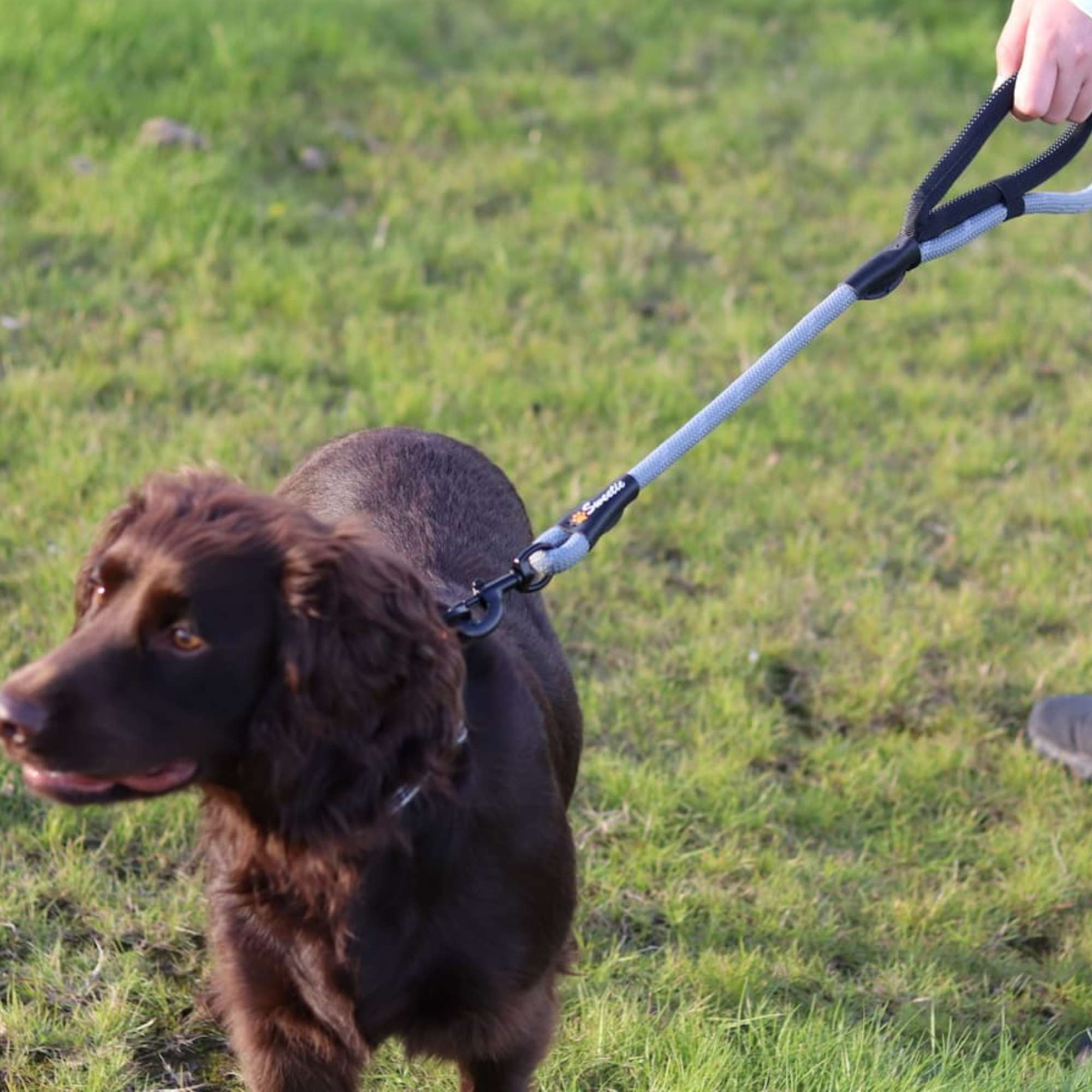 Grey Rope Lead - Sweetie