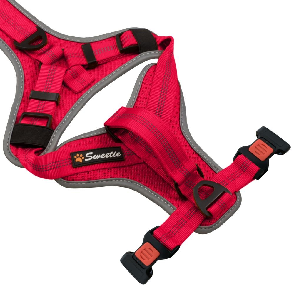 No Pull Dog Harness with Lock Buckles - Sweetie