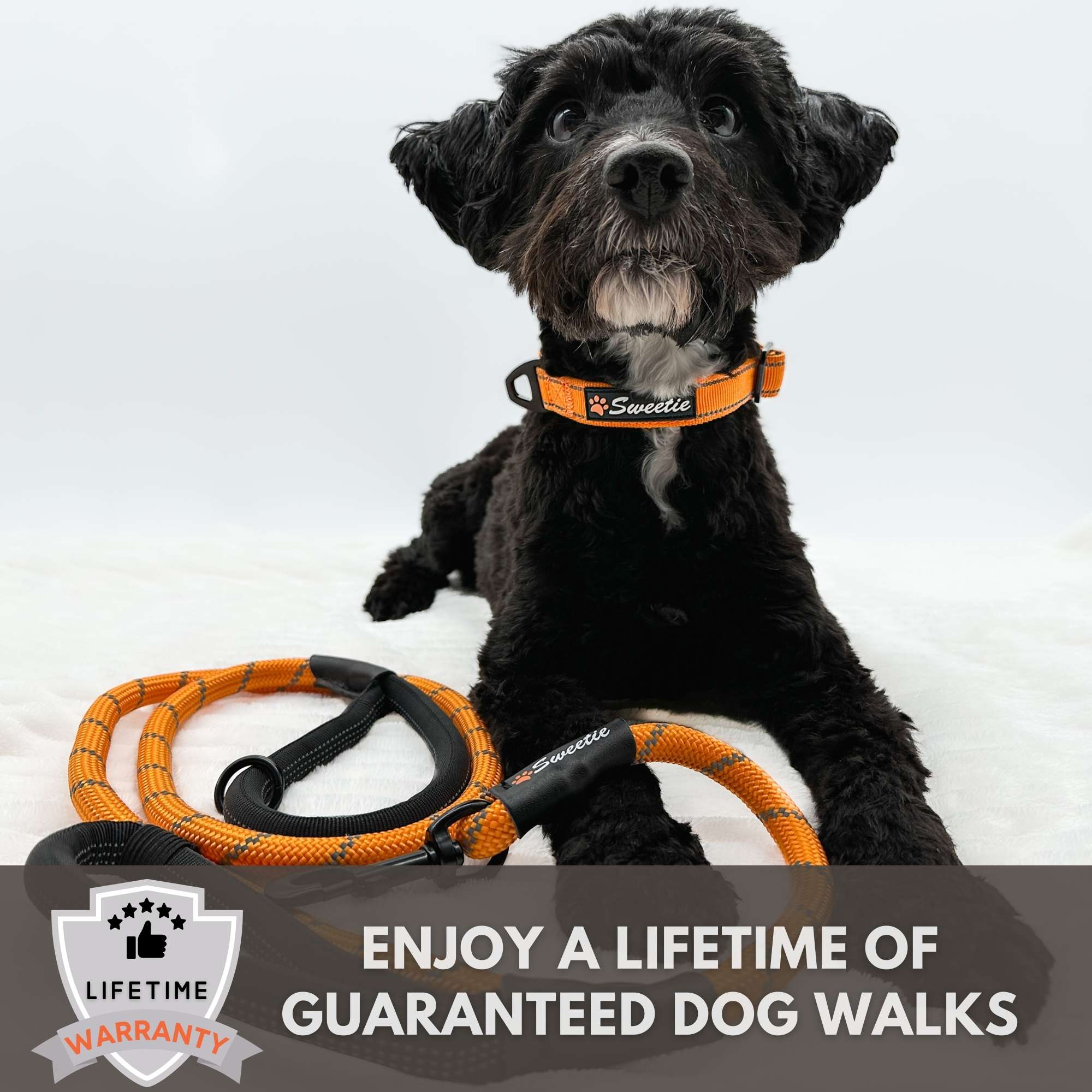 Guaranteed dog collars hotsell