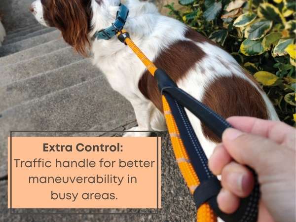 Orange Rope Lead - Sweetie