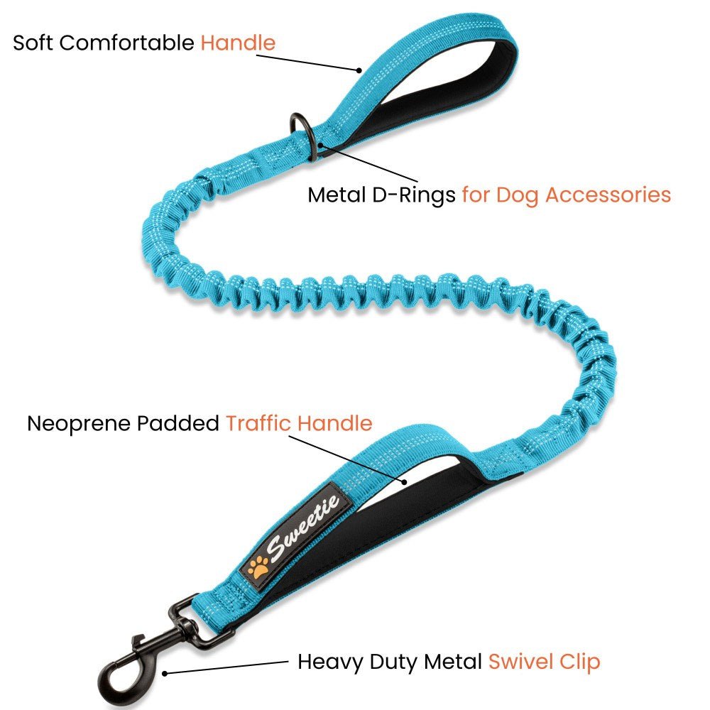 Premium Strong Bungee Lead - Blue - Sweetie