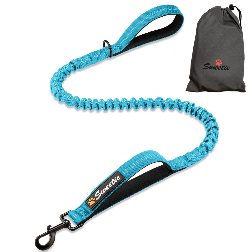 Premium Strong Bungee Lead - Blue - Sweetie