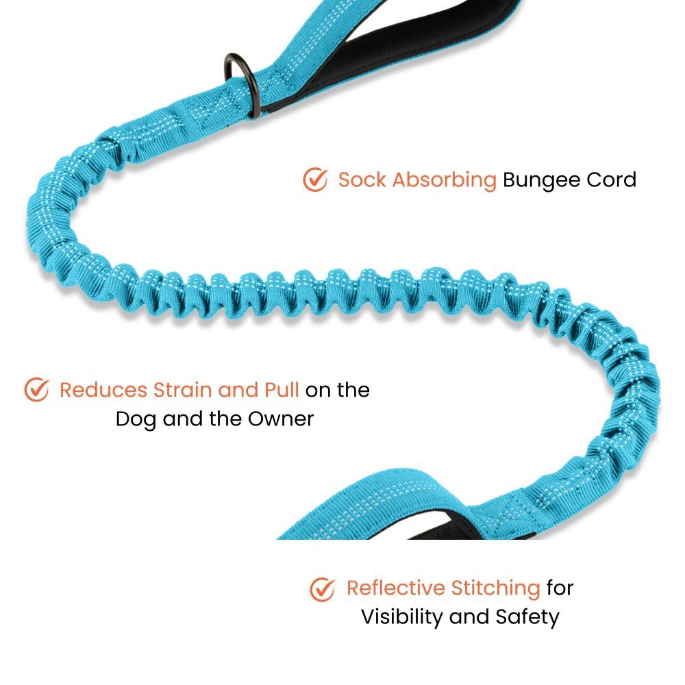 Premium Strong Bungee Lead - Blue - Sweetie