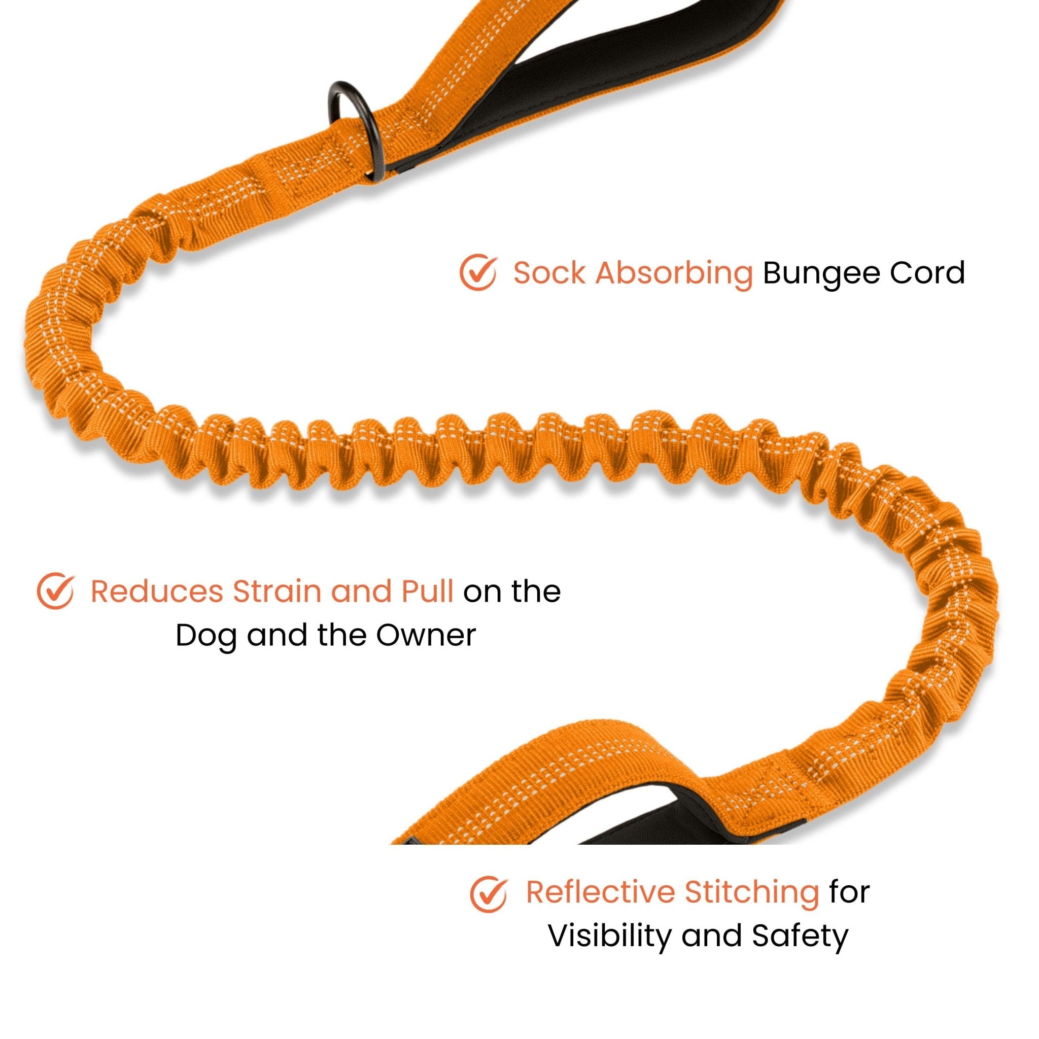 Premium Strong Bungee Lead - Orange - Sweetie