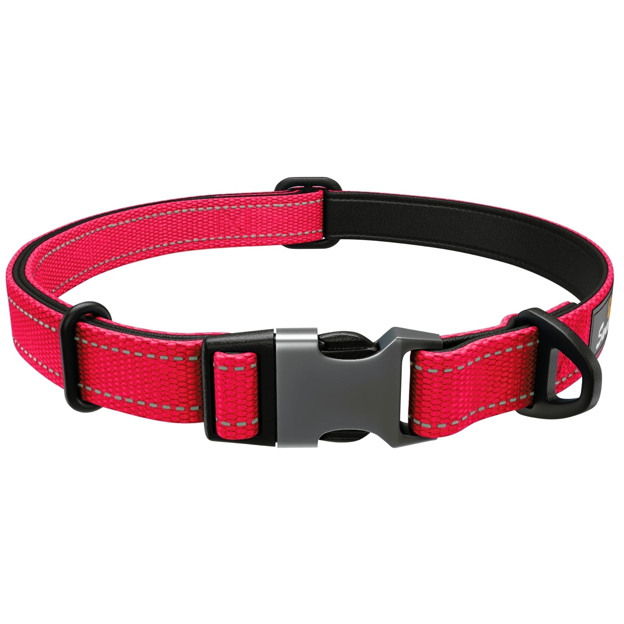 Neoprene Padded Dog Collar