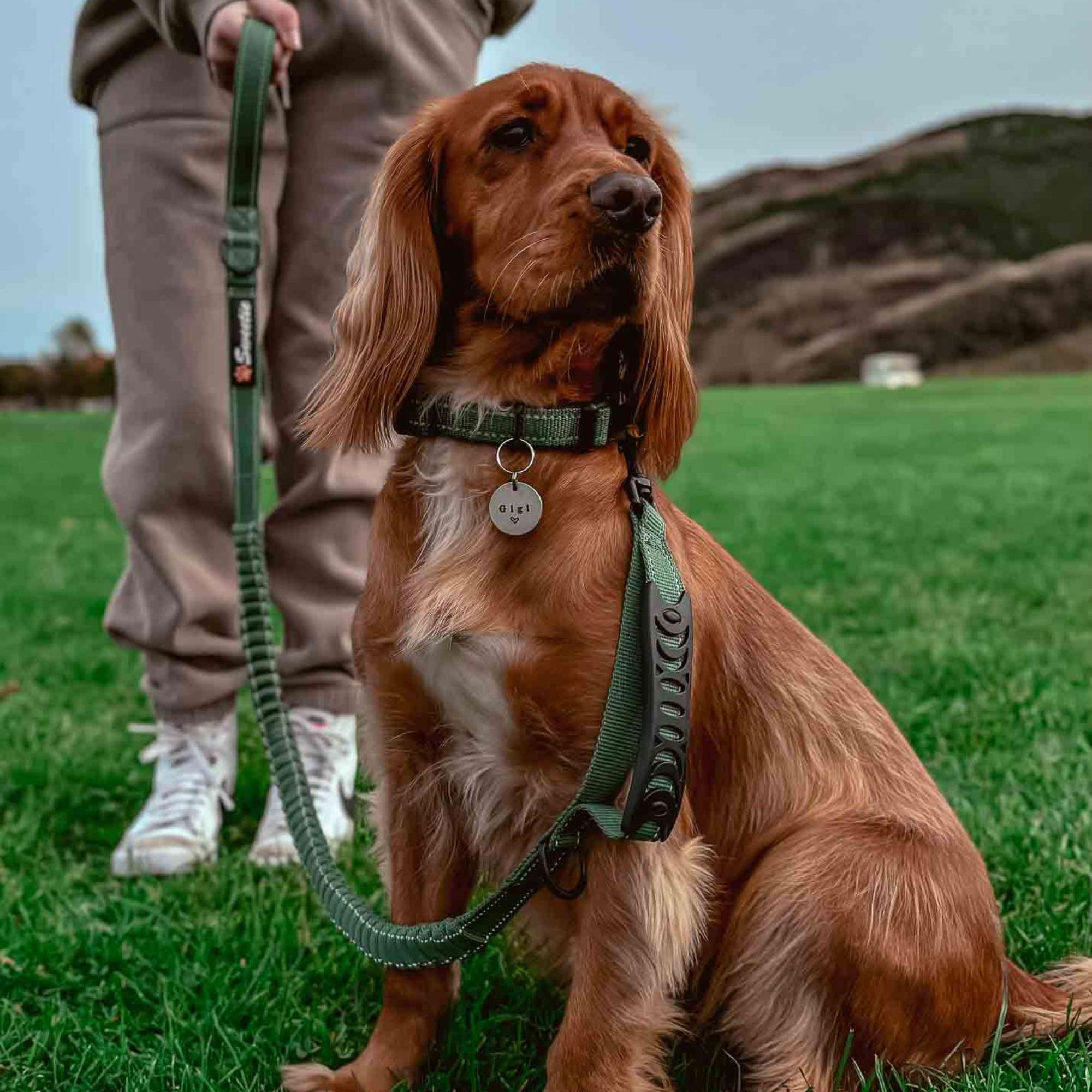 Shock - Absorbing Dog Lead - Green - Sweetie