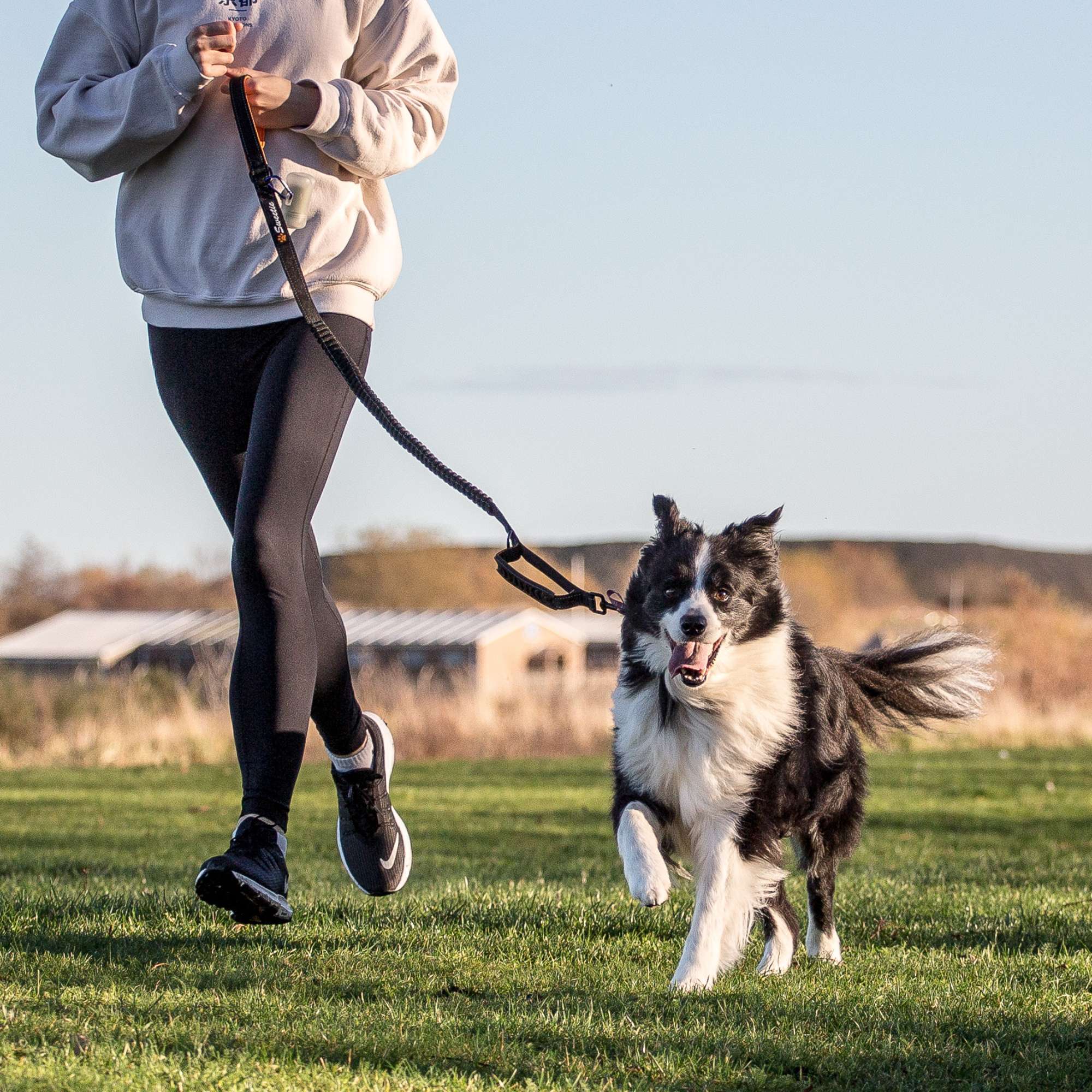 Shock - Absorbing Dog Lead - Green - Sweetie