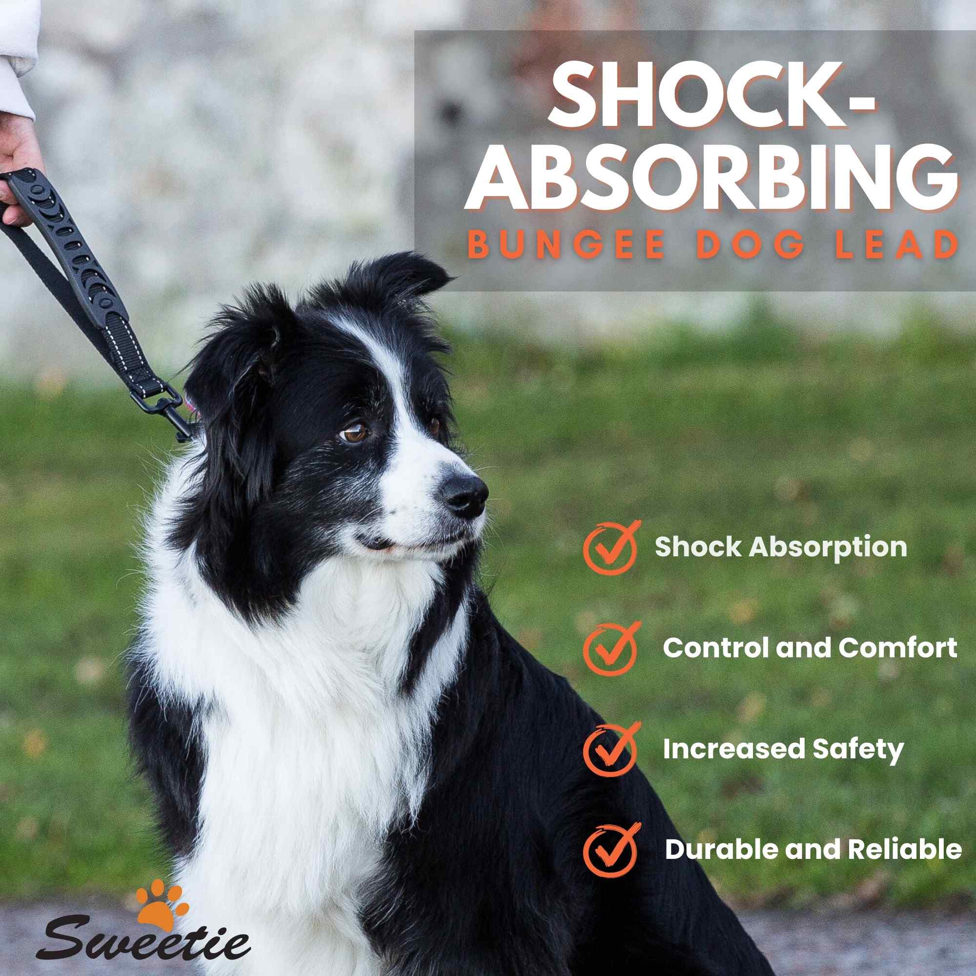 Shock - Absorbing Dog Lead - Green - Sweetie