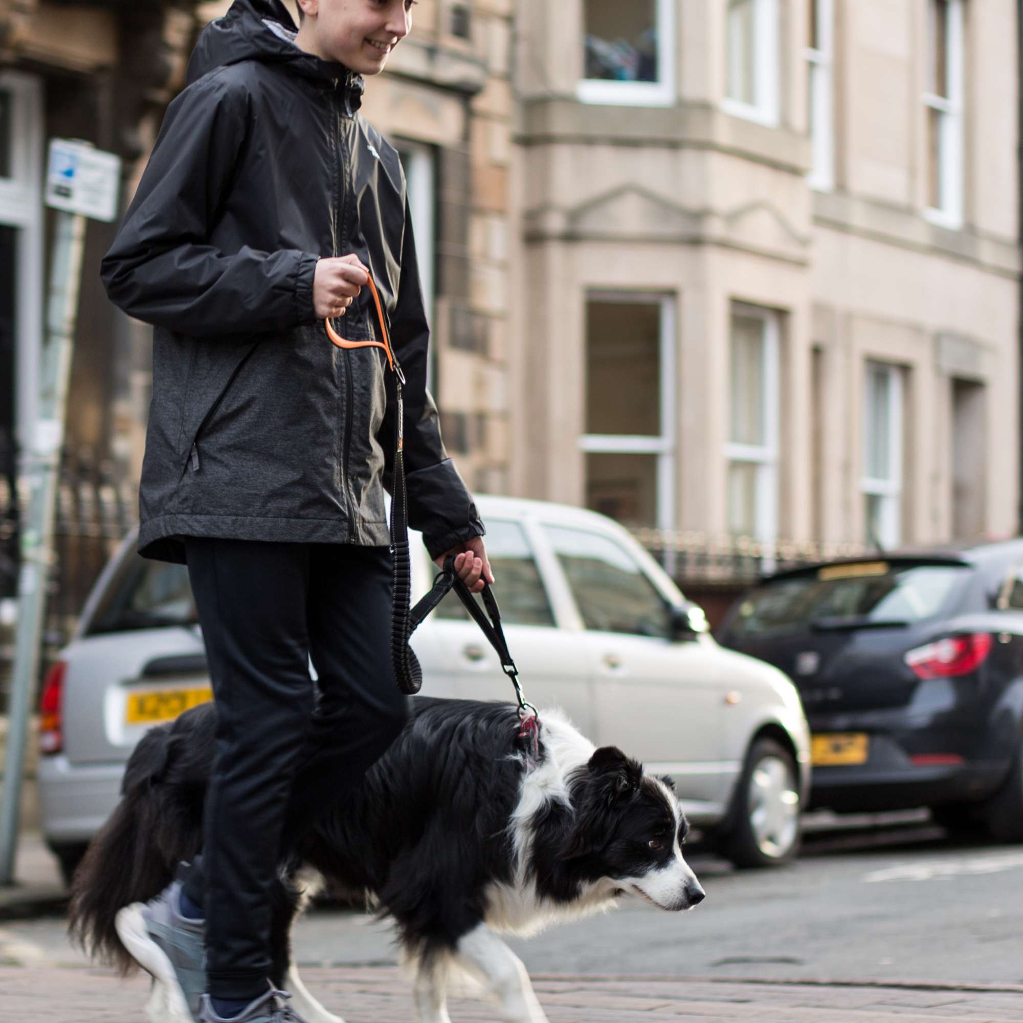 Shock - Absorbing Dog Lead - Red - Sweetie