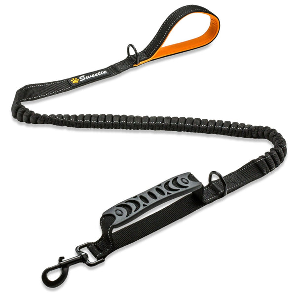 Dog lead on sale with shock absorber